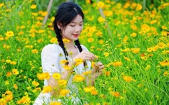 欧美 亚洲 在线播放